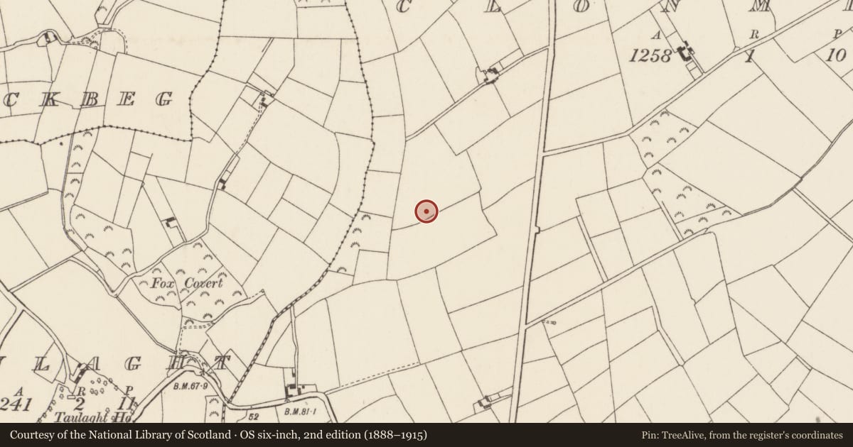 Ordnance Survey six-inch map, 2nd edition (1888–1915) covering the location of Ringfort - rath, Clonmines, County Wexford, with a pin at the register's coordinates