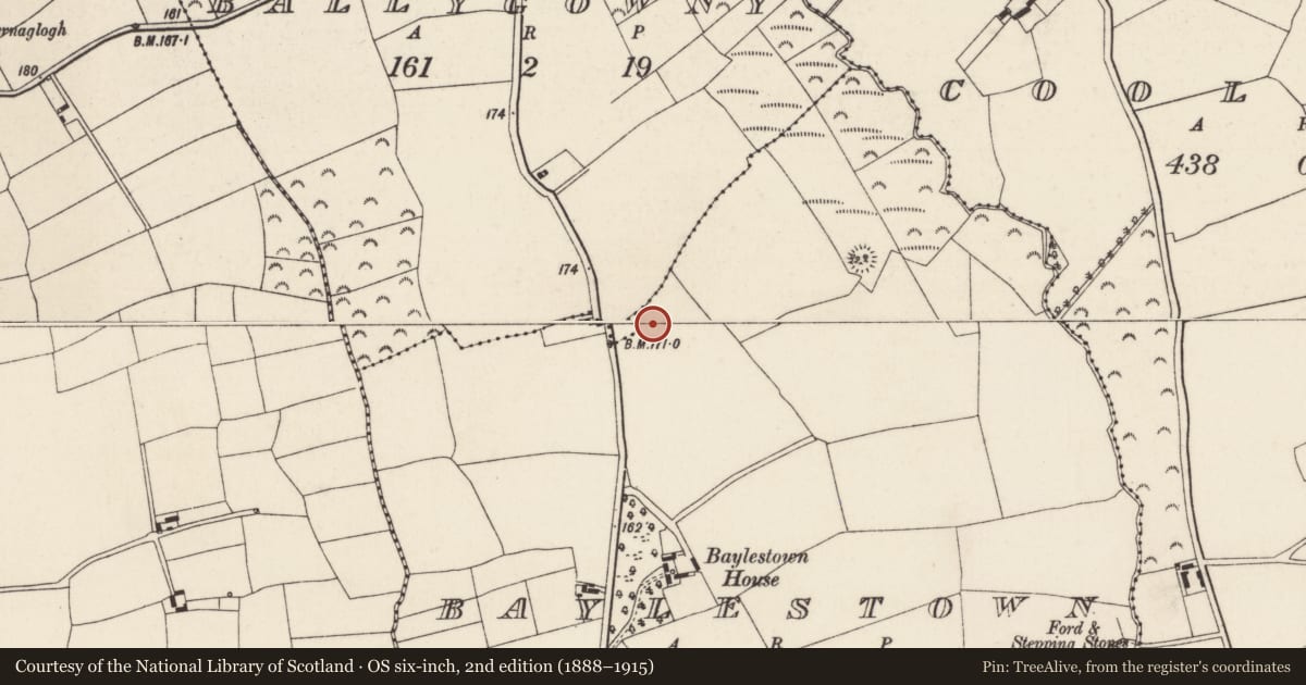 Ordnance Survey six-inch map, 2nd edition (1888–1915) covering the location of Ringfort - rath, Ballygowney, Baylestown, County Wexford, with a pin at the register's coordinates