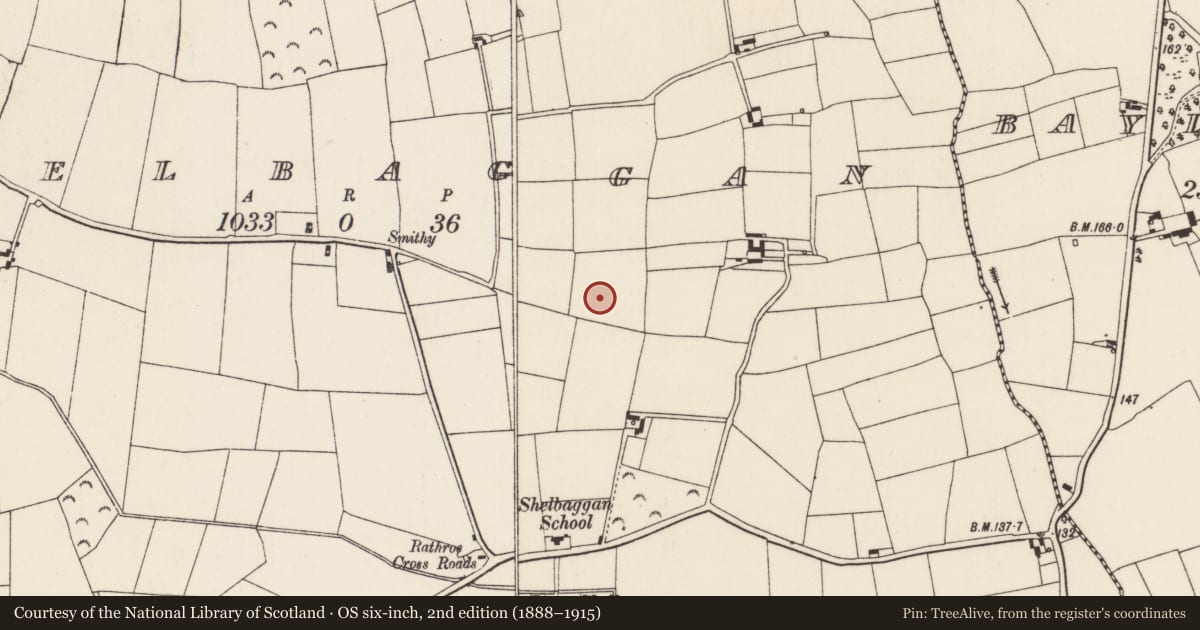 Ordnance Survey six-inch map, 2nd edition (1888–1915) covering the location of Ringfort - rath, Shelbaggan, County Wexford, with a pin at the register's coordinates