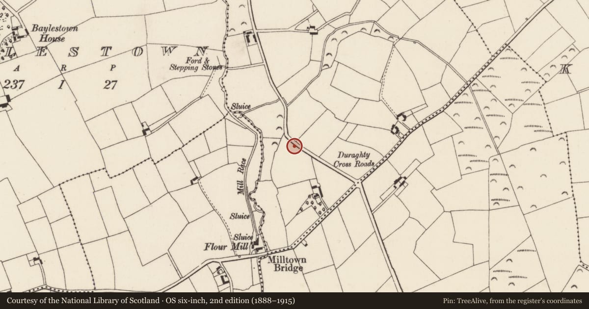 Ordnance Survey six-inch map, 2nd edition (1888–1915) covering the location of Ringfort - rath, Coolroe, County Wexford, with a pin at the register's coordinates