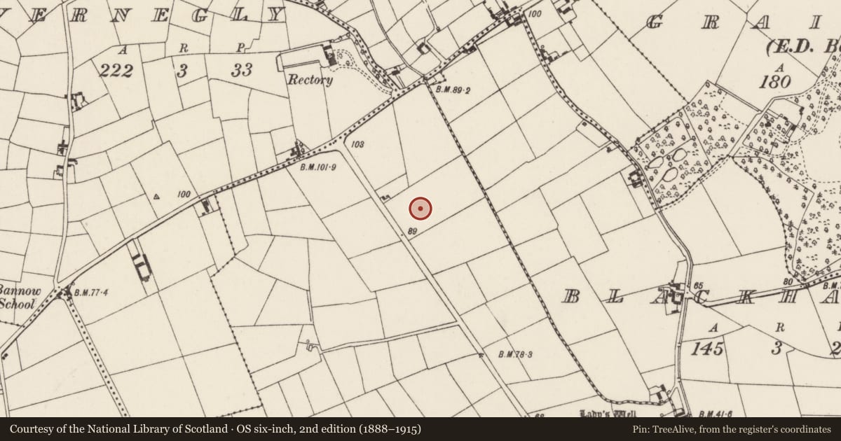 Ordnance Survey six-inch map, 2nd edition (1888–1915) covering the location of Ringfort - unclassified, Haggard, County Wexford, with a pin at the register's coordinates