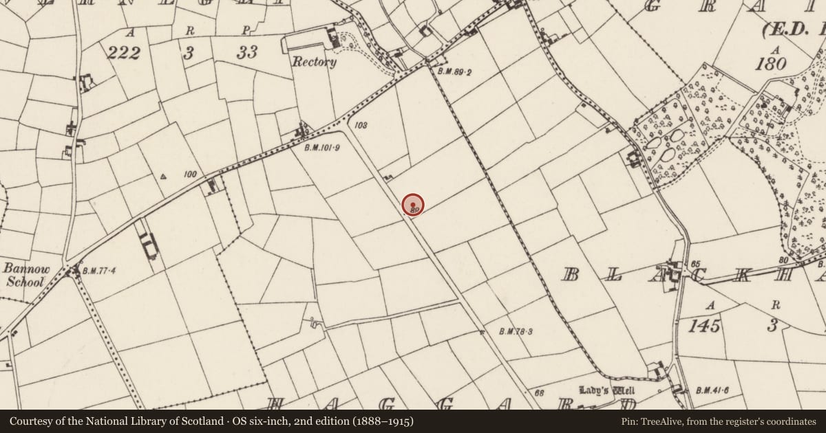 Ordnance Survey six-inch map, 2nd edition (1888–1915) covering the location of Enclosure, Haggard, County Wexford, with a pin at the register's coordinates