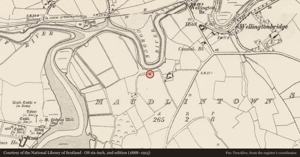 Ordnance Survey six-inch map, 2nd edition (1888–1915) covering the location of Charcoal-making site, Maudlintown, County Wexford, with a pin at the register's coordinates