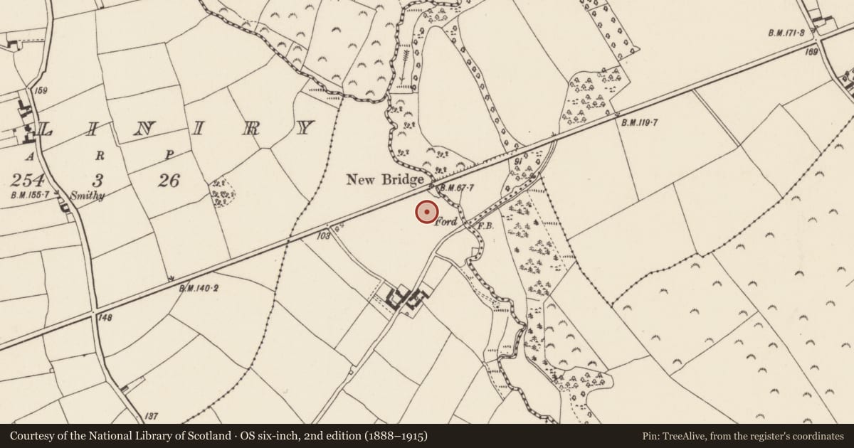 Ordnance Survey six-inch map, 2nd edition (1888–1915) covering the location of Enclosure, Ballyvaroge, County Wexford, with a pin at the register's coordinates