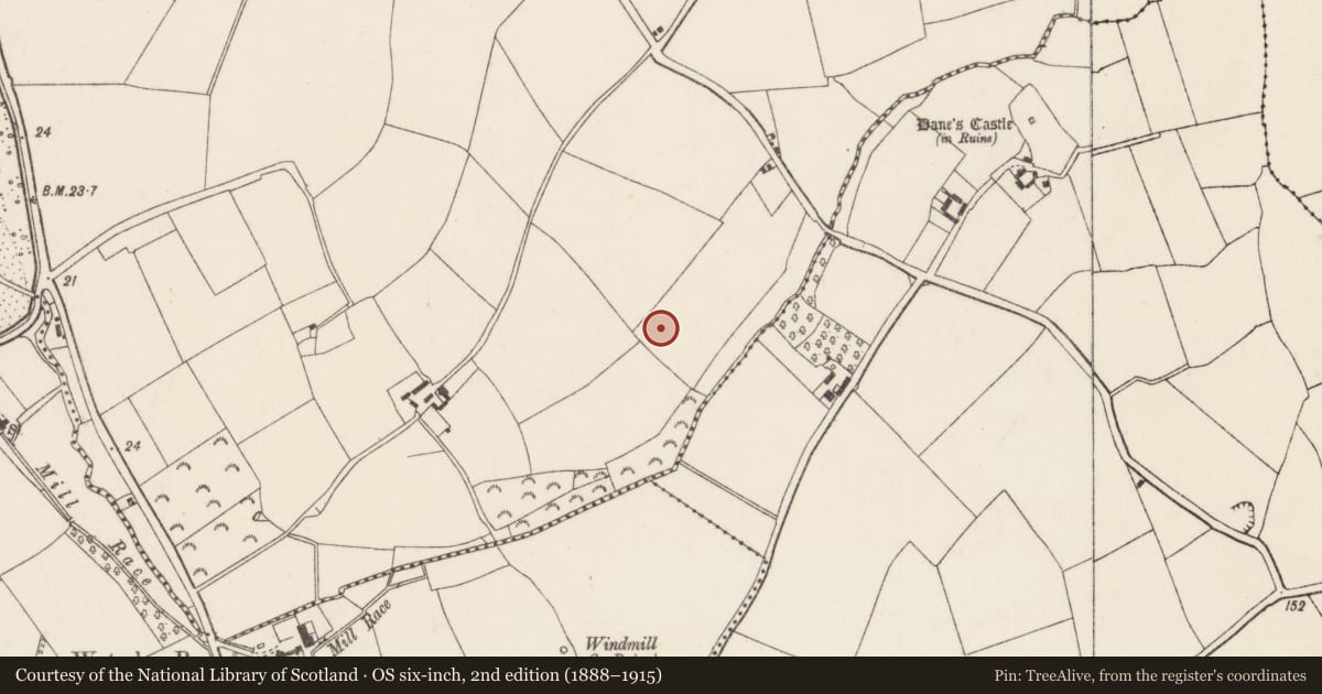 Ordnance Survey six-inch map, 2nd edition (1888–1915) covering the location of Ringfort - rath, Barrystown, County Wexford, with a pin at the register's coordinates