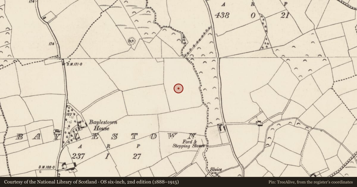 Ordnance Survey six-inch map, 2nd edition (1888–1915) covering the location of Field boundary, Baylestown, County Wexford, with a pin at the register's coordinates
