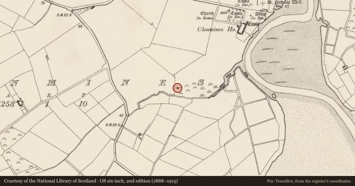 Ordnance Survey six-inch map, 2nd edition (1888–1915) covering the location of Field boundary, Clonmines, County Wexford, with a pin at the register's coordinates