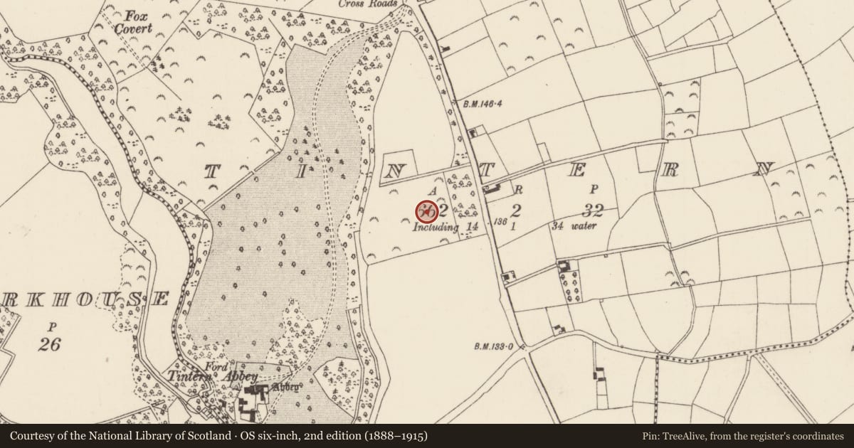 Ordnance Survey six-inch map, 2nd edition (1888–1915) covering the location of Road - road/trackway, Tintern, County Wexford, with a pin at the register's coordinates