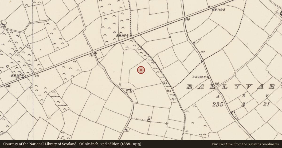 Ordnance Survey six-inch map, 2nd edition (1888–1915) covering the location of Enclosure, Battlestown, County Wexford, with a pin at the register's coordinates