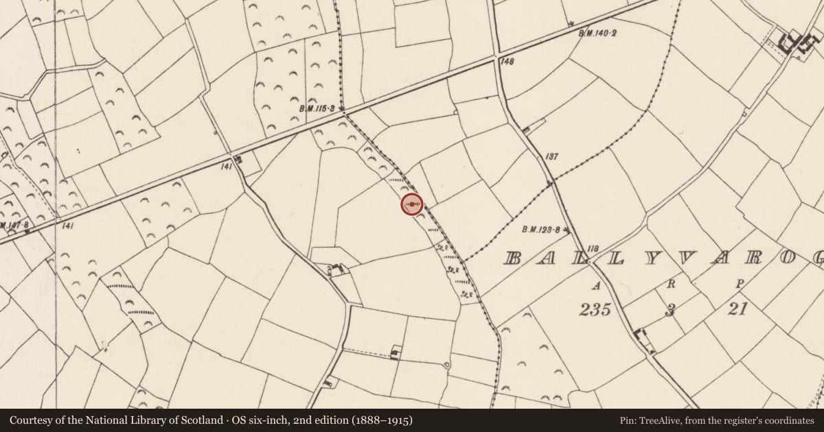 Ordnance Survey six-inch map, 2nd edition (1888–1915) covering the location of Enclosure, Battlestown, County Wexford, with a pin at the register's coordinates