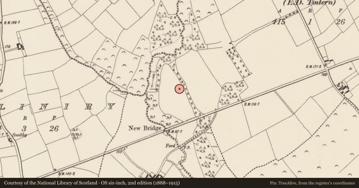 Ordnance Survey six-inch map, 2nd edition (1888–1915) covering the location of Ringfort - rath, Curraghmore, County Wexford, with a pin at the register's coordinates
