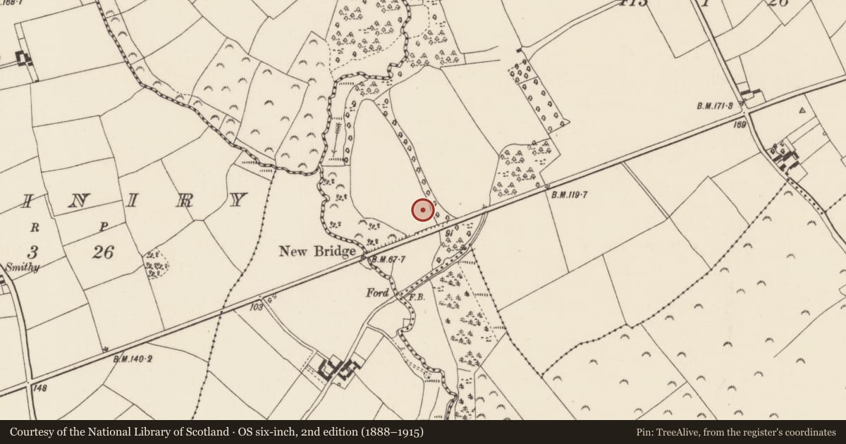 Ordnance Survey six-inch map, 2nd edition (1888–1915) covering the location of Ringfort - rath, Curraghmore, County Wexford, with a pin at the register's coordinates