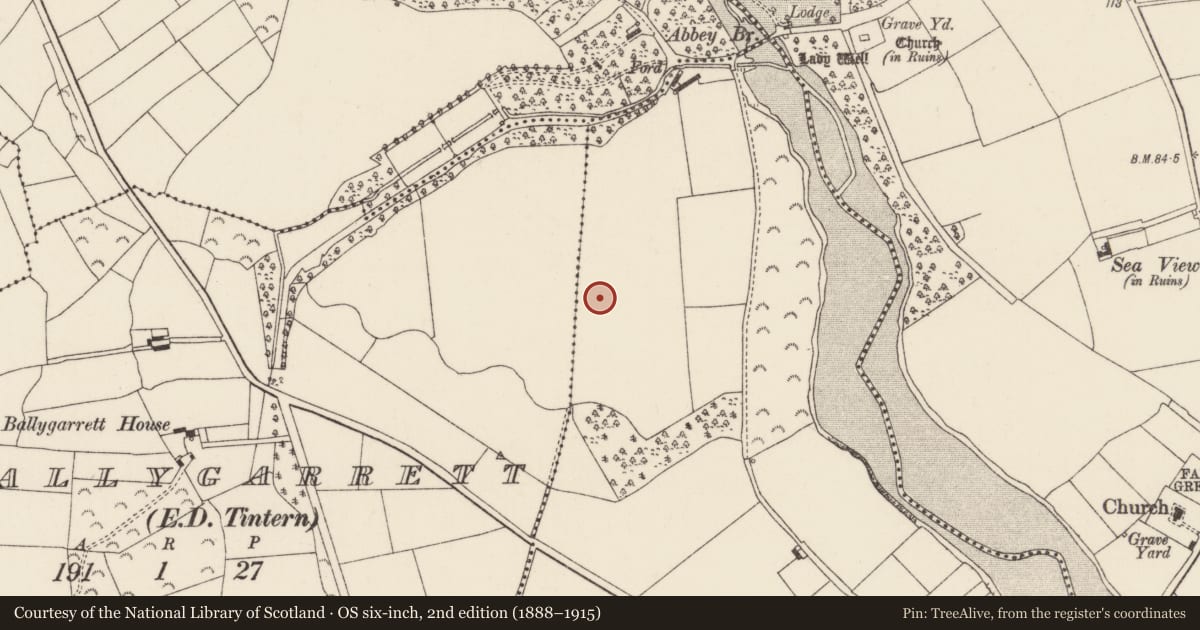 Ordnance Survey six-inch map, 2nd edition (1888–1915) covering the location of Enclosure - large enclosure, Saltmills, County Wexford, with a pin at the register's coordinates