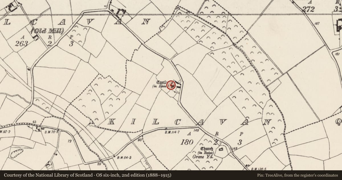 Ordnance Survey six-inch map, 2nd edition (1888–1915) covering the location of Castle - tower house, Kilcavan, County Wexford, with a pin at the register's coordinates