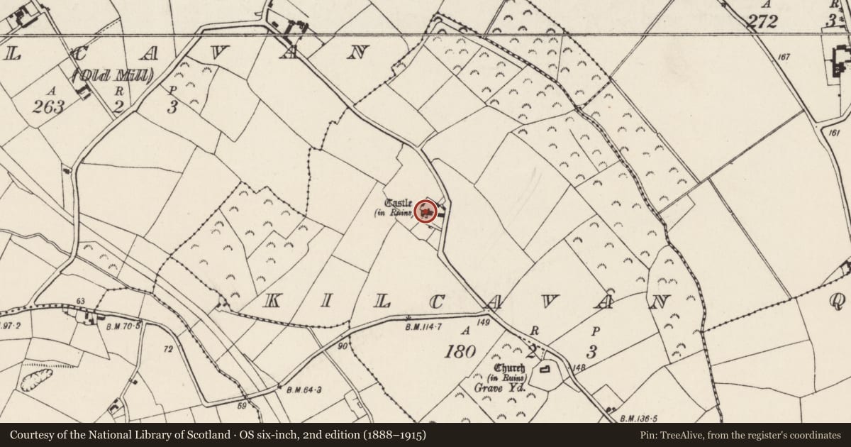 Ordnance Survey six-inch map, 2nd edition (1888–1915) covering the location of House - 16th/17th century, Kilcavan, County Wexford, with a pin at the register's coordinates