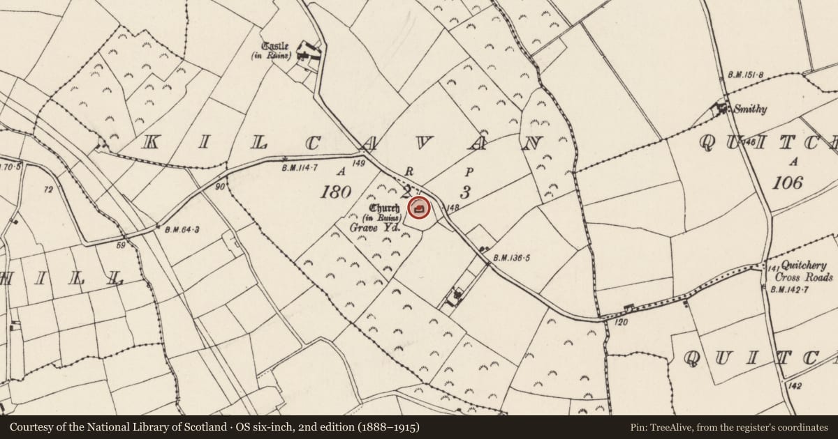 Ordnance Survey six-inch map, 2nd edition (1888–1915) covering the location of Church, Kilcavan, County Wexford, with a pin at the register's coordinates