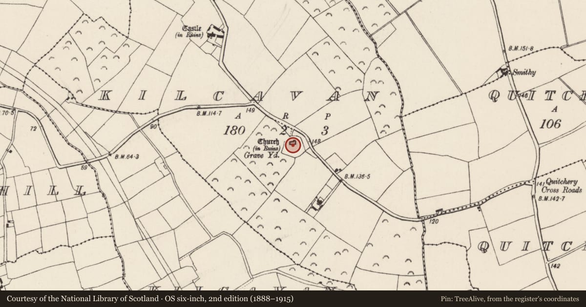 Ordnance Survey six-inch map, 2nd edition (1888–1915) covering the location of Graveyard, Kilcavan, County Wexford, with a pin at the register's coordinates