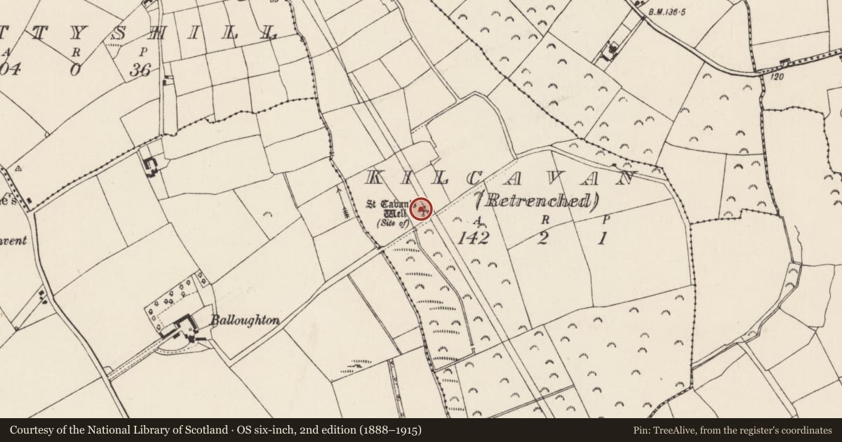 Ordnance Survey six-inch map, 2nd edition (1888–1915) covering the location of Ritual site - holy well, Kilcavan (Retrenched), County Wexford, with a pin at the register's coordinates