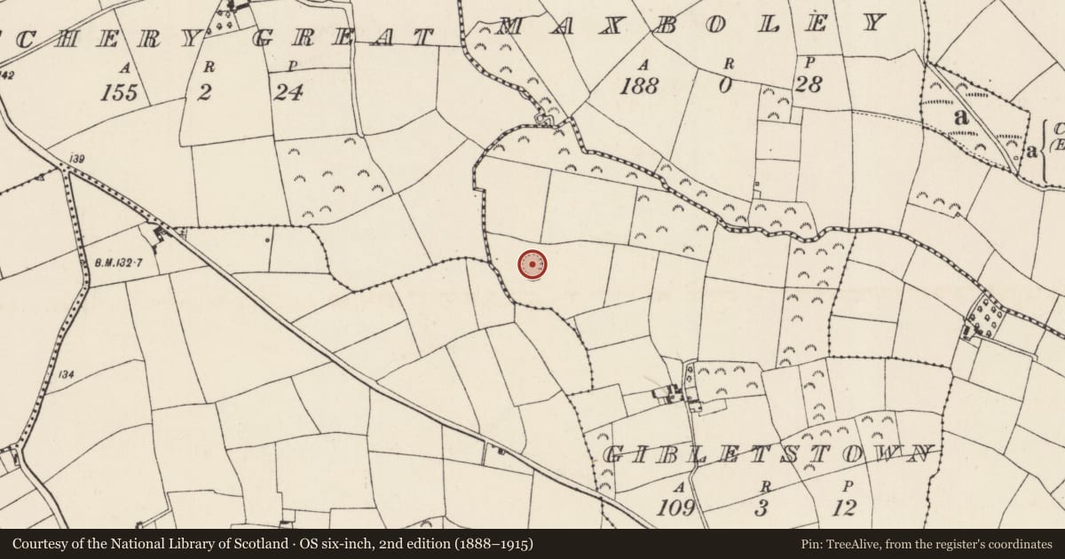 Ordnance Survey six-inch map, 2nd edition (1888–1915) covering the location of Ringfort - rath, Gibletstown, County Wexford, with a pin at the register's coordinates