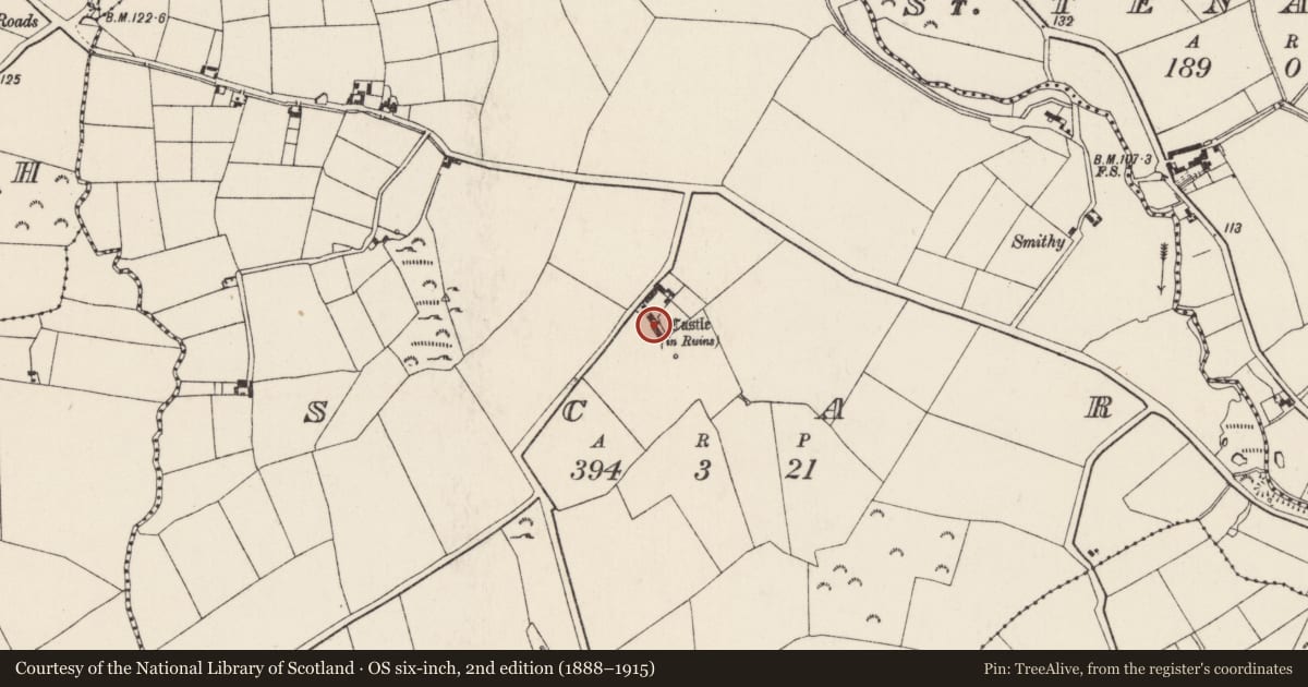 Ordnance Survey six-inch map, 2nd edition (1888–1915) covering the location of Castle - tower house, Scar, County Wexford, with a pin at the register's coordinates