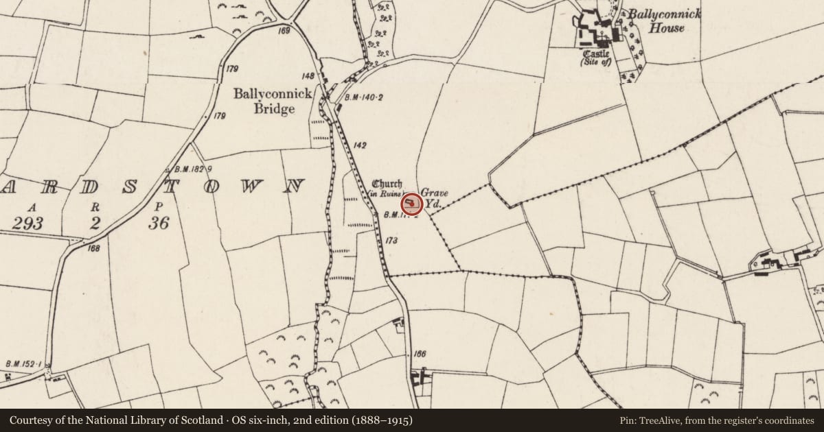 Ordnance Survey six-inch map, 2nd edition (1888–1915) covering the location of Graveyard, Ballyconnick, County Wexford, with a pin at the register's coordinates