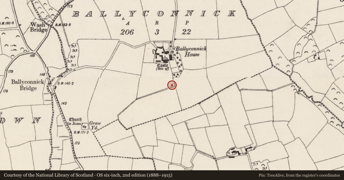 Ordnance Survey six-inch map, 2nd edition (1888–1915) covering the location of Moated site, Ballyconnick, County Wexford, with a pin at the register's coordinates