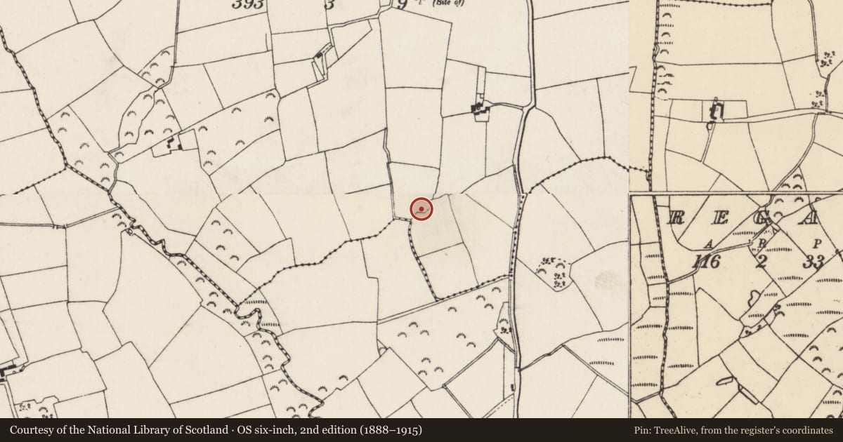Ordnance Survey six-inch map, 2nd edition (1888–1915) covering the location of Ringfort - rath, Cleristown South, County Wexford, with a pin at the register's coordinates