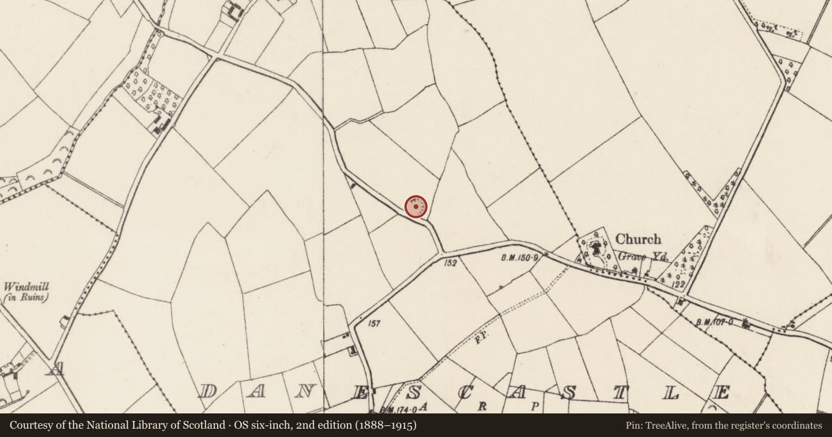 Ordnance Survey six-inch map, 2nd edition (1888–1915) covering the location of Ringfort - rath, Danescastle, County Wexford, with a pin at the register's coordinates