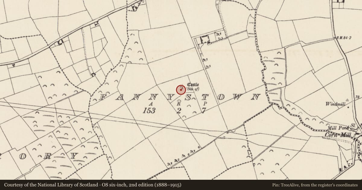 Ordnance Survey six-inch map, 2nd edition (1888–1915) covering the location of Moated site, Fannystown, County Wexford, with a pin at the register's coordinates
