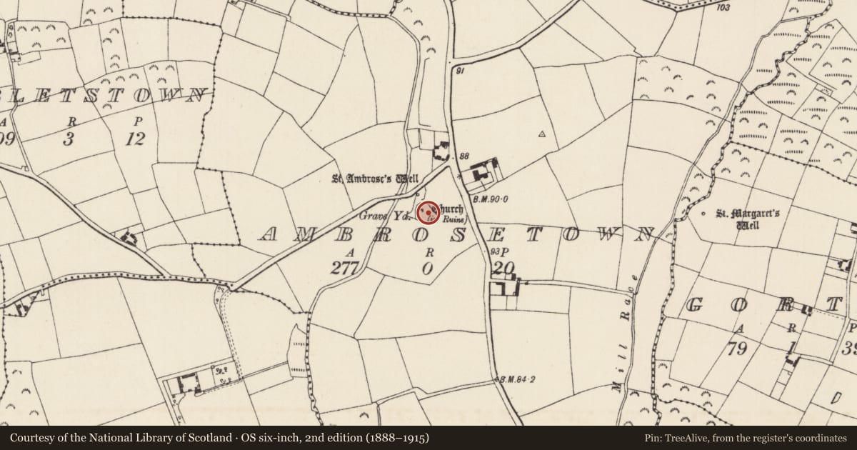 Ordnance Survey six-inch map, 2nd edition (1888–1915) covering the location of Graveyard, Ambrosetown, County Wexford, with a pin at the register's coordinates