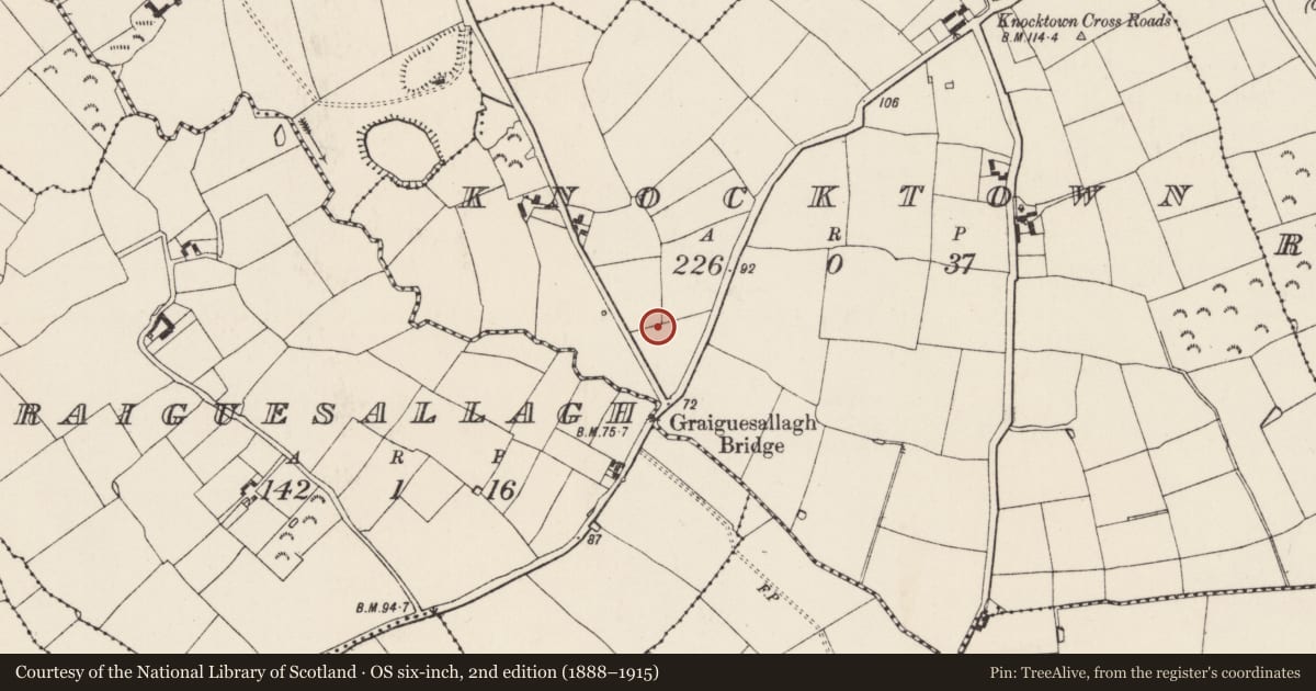Ordnance Survey six-inch map, 2nd edition (1888–1915) covering the location of Mound, Knocktown, County Wexford, with a pin at the register's coordinates