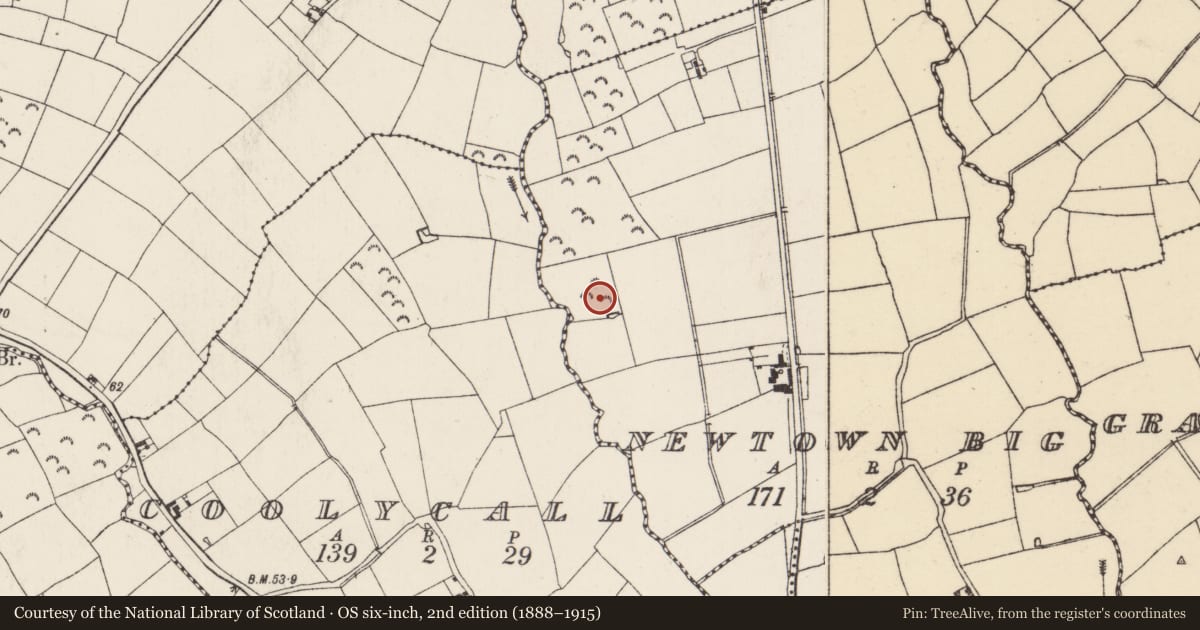 Ordnance Survey six-inch map, 2nd edition (1888–1915) covering the location of Ringfort - rath, Newtown Big, County Wexford, with a pin at the register's coordinates