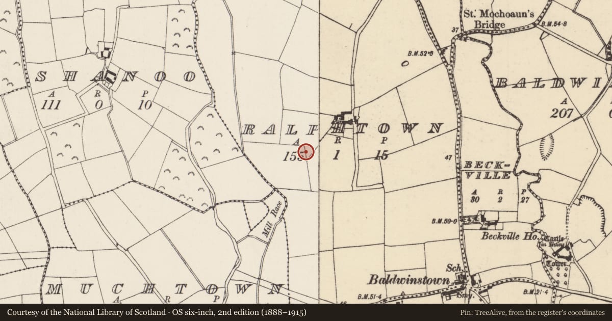 Ordnance Survey six-inch map, 2nd edition (1888–1915) covering the location of Ringfort - unclassified, Ralphtown, County Wexford, with a pin at the register's coordinates