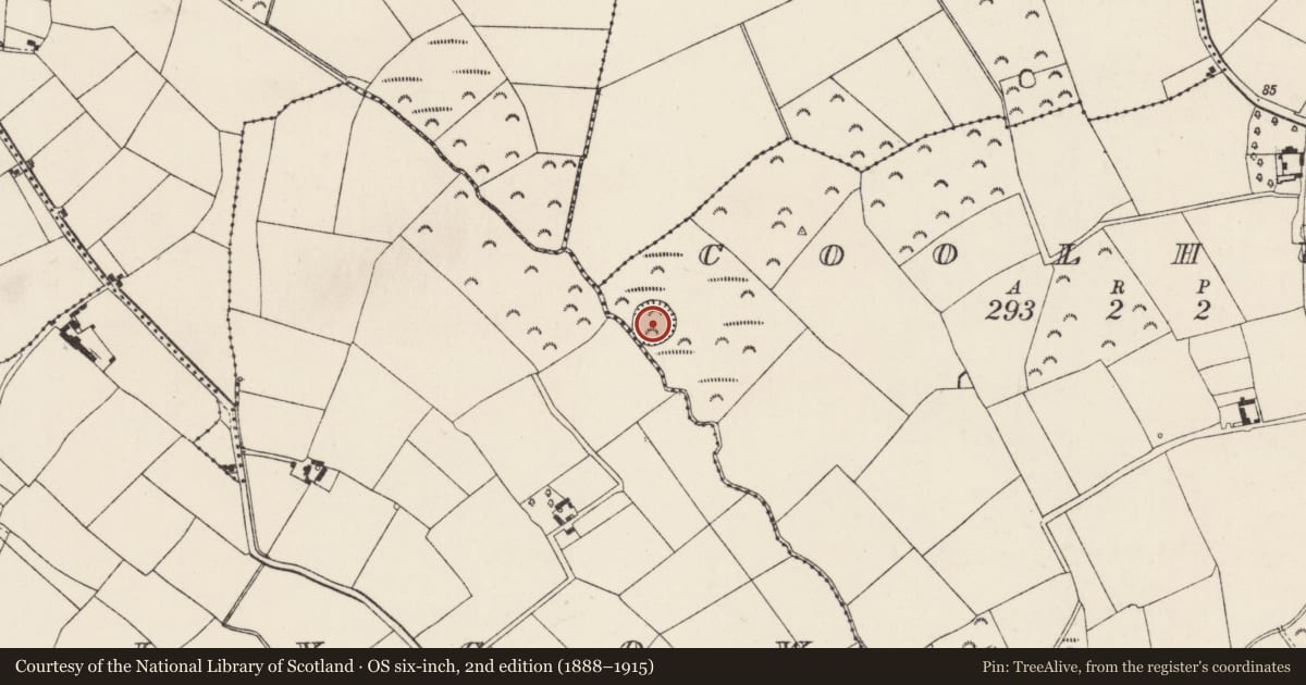 Ordnance Survey six-inch map, 2nd edition (1888–1915) covering the location of Ringfort - rath, Coolhull, County Wexford, with a pin at the register's coordinates