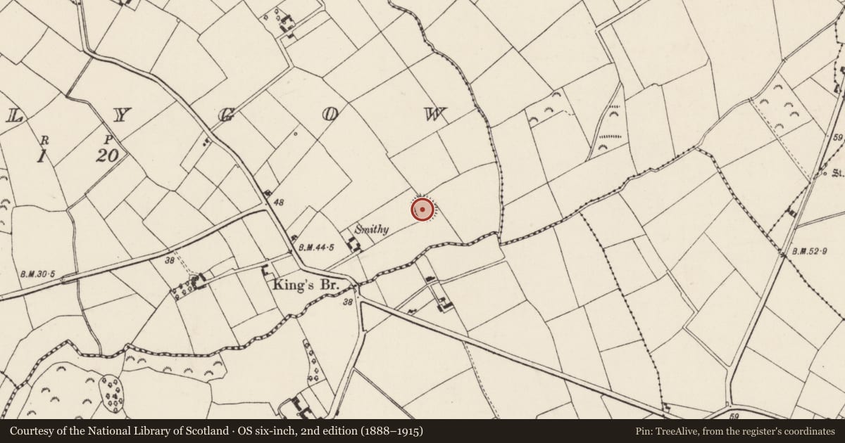 Ordnance Survey six-inch map, 2nd edition (1888–1915) covering the location of Ringfort - rath, Ballygow, County Wexford, with a pin at the register's coordinates
