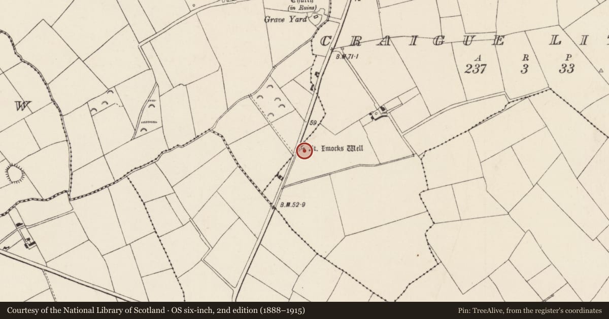 Ordnance Survey six-inch map, 2nd edition (1888–1915) covering the location of Ritual site - holy well, Craigue Little, County Wexford, with a pin at the register's coordinates