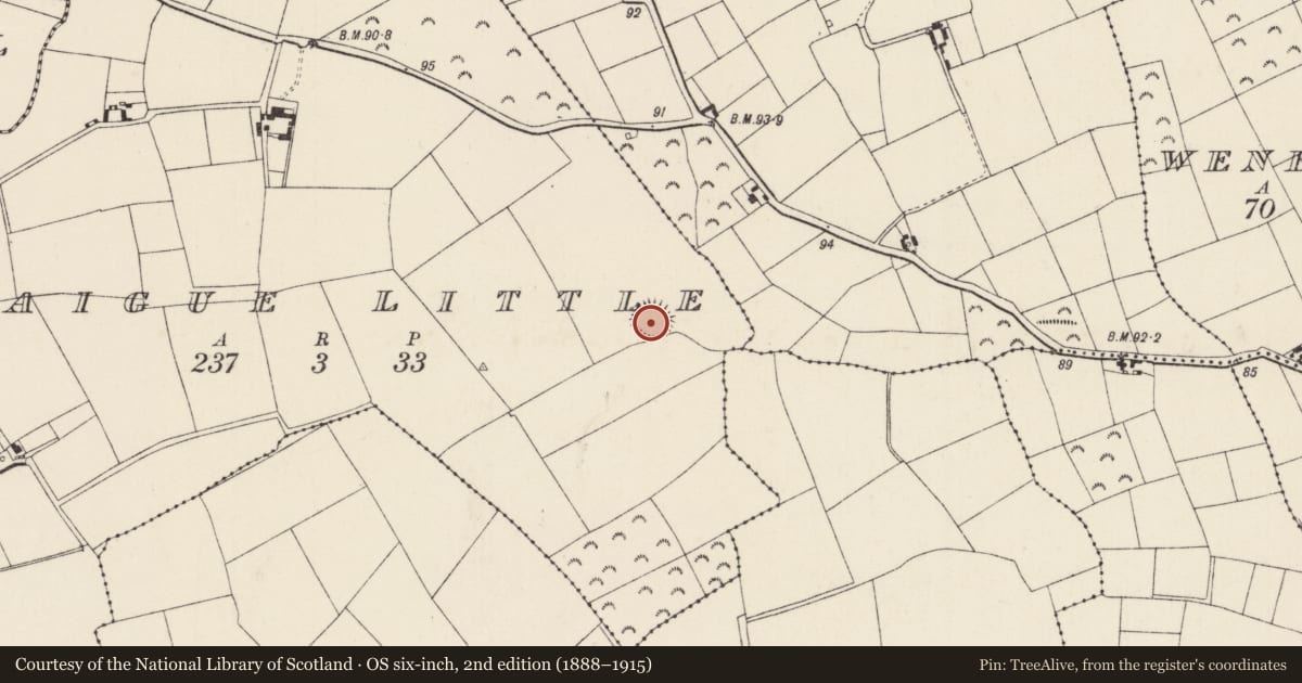 Ordnance Survey six-inch map, 2nd edition (1888–1915) covering the location of Ringfort - rath, Craigue Little, County Wexford, with a pin at the register's coordinates