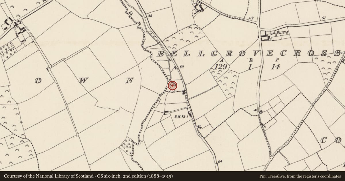 Ordnance Survey six-inch map, 2nd edition (1888–1915) covering the location of Ringfort - rath, Bellgrovecross, County Wexford, with a pin at the register's coordinates