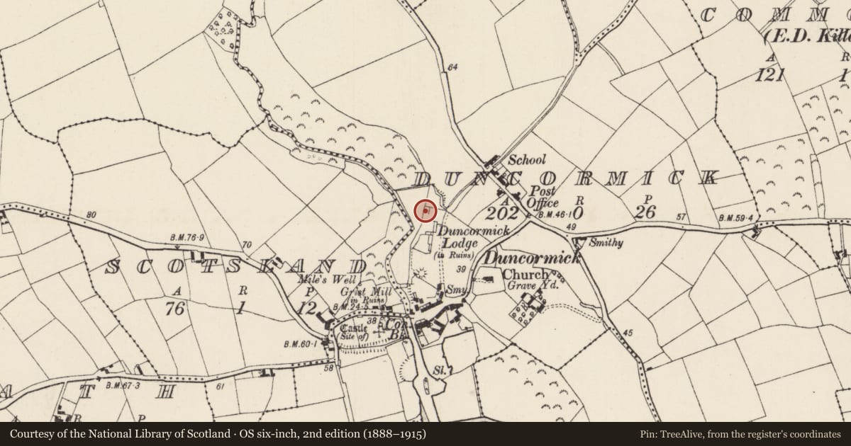 Ordnance Survey six-inch map, 2nd edition (1888–1915) covering the location of Mill - unclassified, Scotsland, Duncormick, County Wexford, with a pin at the register's coordinates