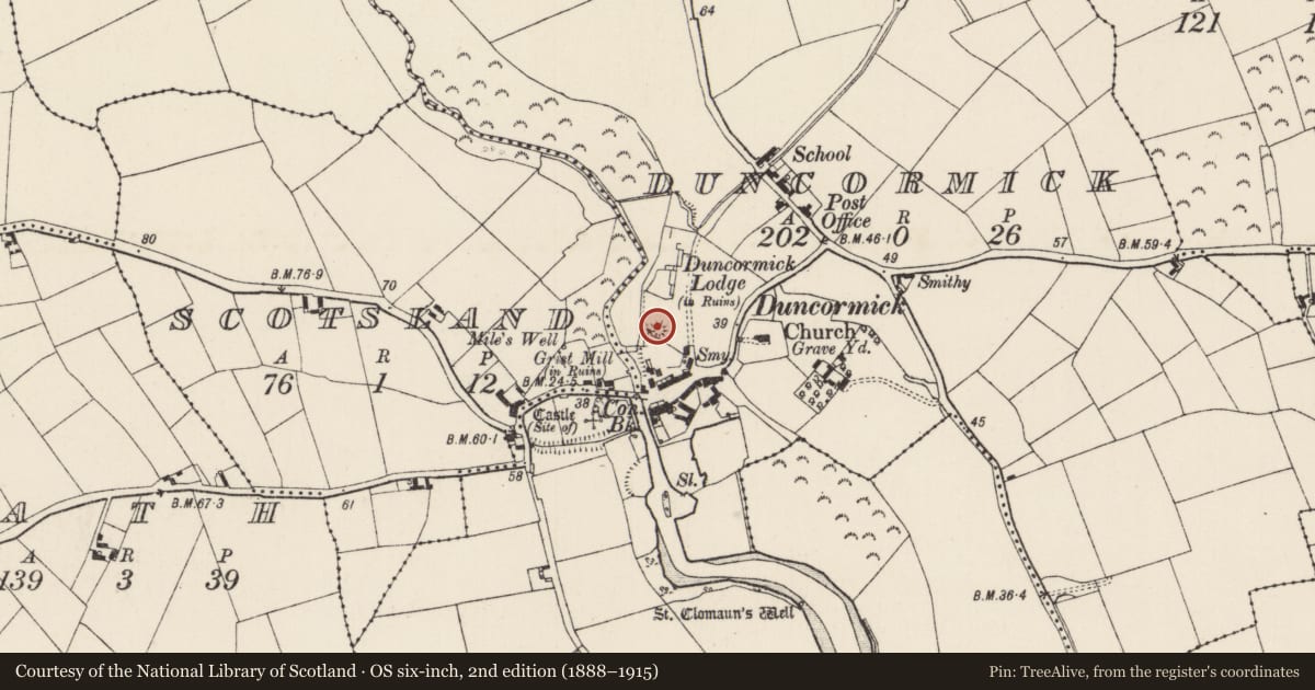 Ordnance Survey six-inch map, 2nd edition (1888–1915) covering the location of Castle - motte and bailey, Duncormick, County Wexford, with a pin at the register's coordinates