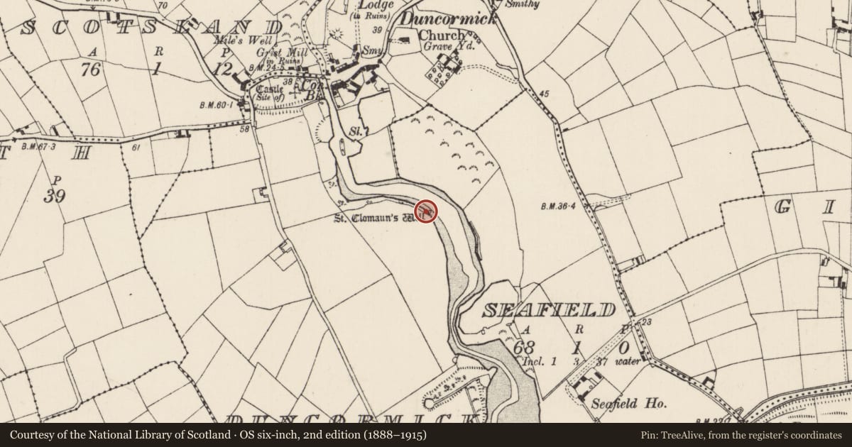 Ordnance Survey six-inch map, 2nd edition (1888–1915) covering the location of Ritual site - holy well, Duncormick Hill, County Wexford, with a pin at the register's coordinates