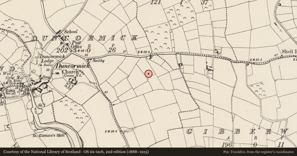Ordnance Survey six-inch map, 2nd edition (1888–1915) covering the location of Ringfort - rath, Duncormick, County Wexford, with a pin at the register's coordinates