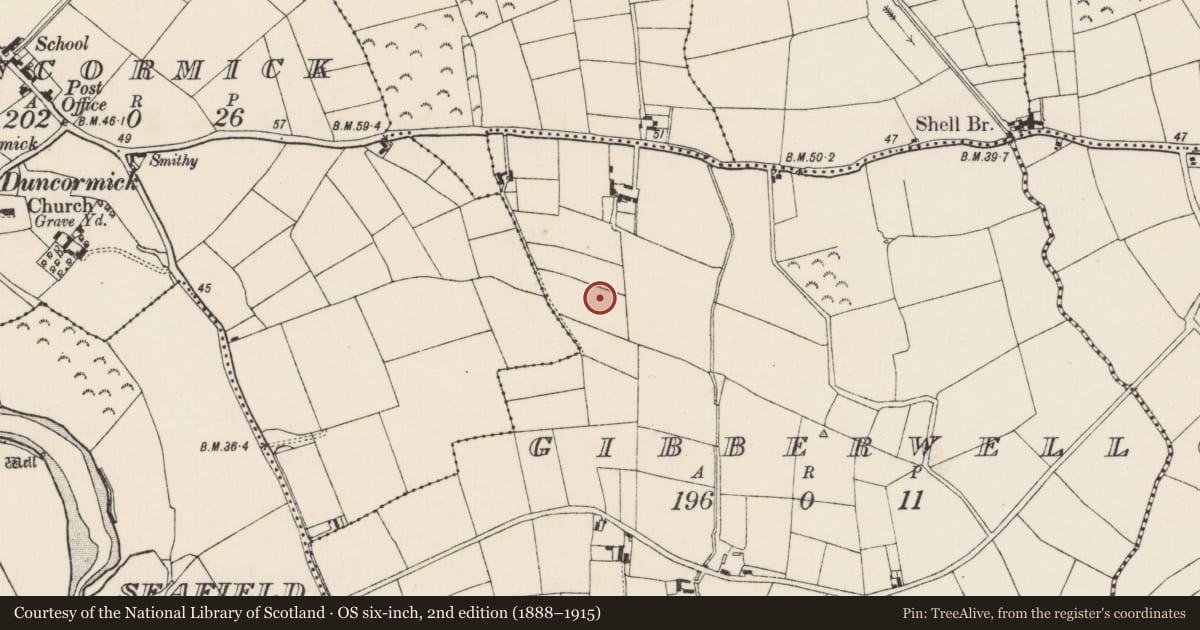 Ordnance Survey six-inch map, 2nd edition (1888–1915) covering the location of Ringfort - rath, Gibberwell, County Wexford, with a pin at the register's coordinates