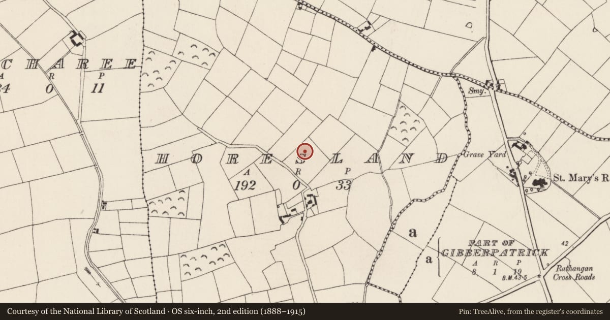 Ordnance Survey six-inch map, 2nd edition (1888–1915) covering the location of Ringfort - rath, Horesland, County Wexford, with a pin at the register's coordinates