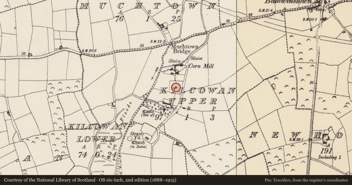 Ordnance Survey six-inch map, 2nd edition (1888–1915) covering the location of Moated site, Kilcowan Upper, County Wexford, with a pin at the register's coordinates