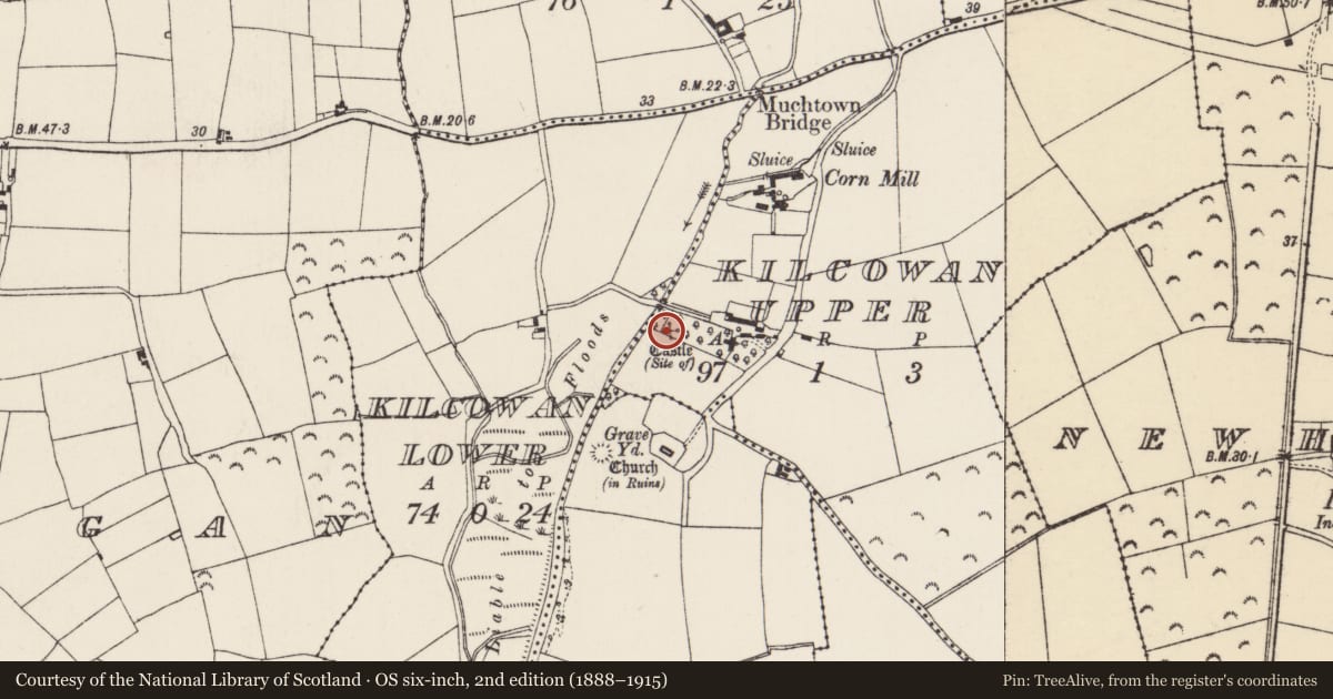 Ordnance Survey six-inch map, 2nd edition (1888–1915) covering the location of Courtyard, Kilcowan Upper, County Wexford, with a pin at the register's coordinates