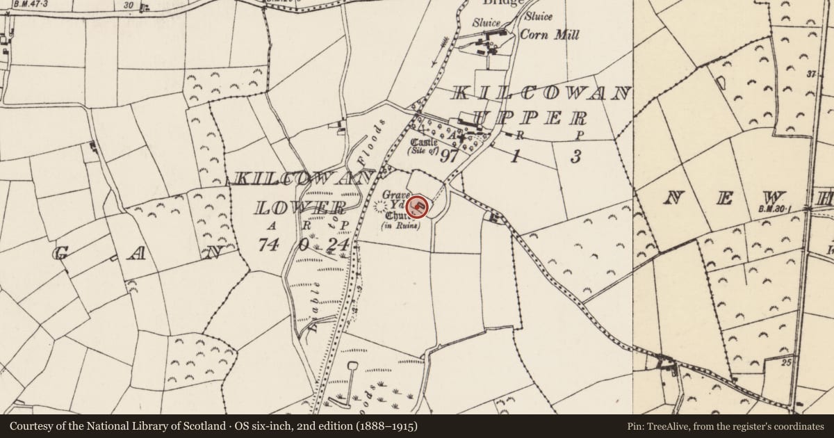Ordnance Survey six-inch map, 2nd edition (1888–1915) covering the location of Church, Hooks, County Wexford, with a pin at the register's coordinates