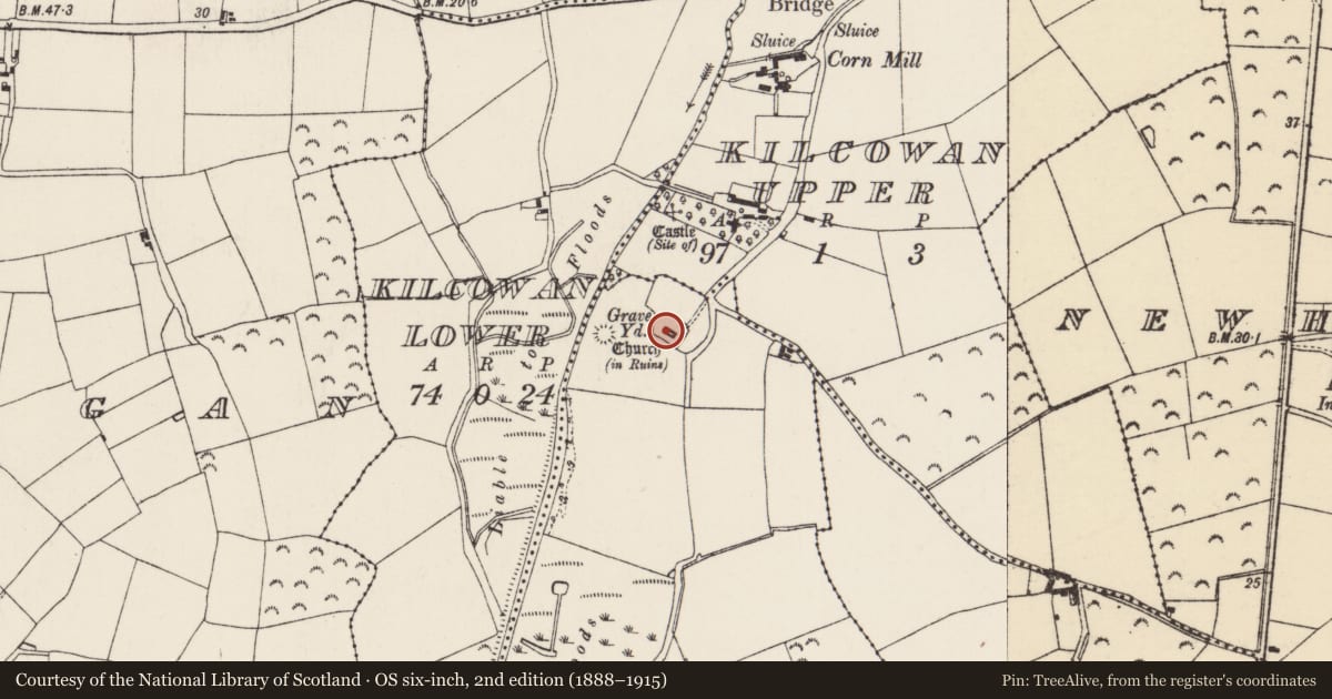 Ordnance Survey six-inch map, 2nd edition (1888–1915) covering the location of Graveyard, Hooks, County Wexford, with a pin at the register's coordinates