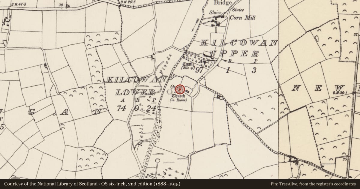 Ordnance Survey six-inch map, 2nd edition (1888–1915) covering the location of Ecclesiastical enclosure, Kilcowan Upper, Hooks, County Wexford, with a pin at the register's coordinates