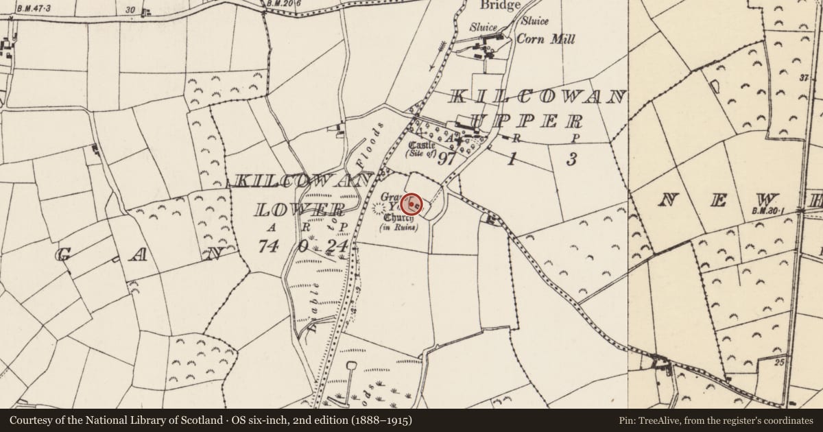 Ordnance Survey six-inch map, 2nd edition (1888–1915) covering the location of Bullaun stone, Hooks, County Wexford, with a pin at the register's coordinates